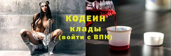 прущие грибы Аркадак