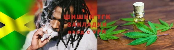 ГАЛЛЮЦИНОГЕННЫЕ ГРИБЫ Алзамай